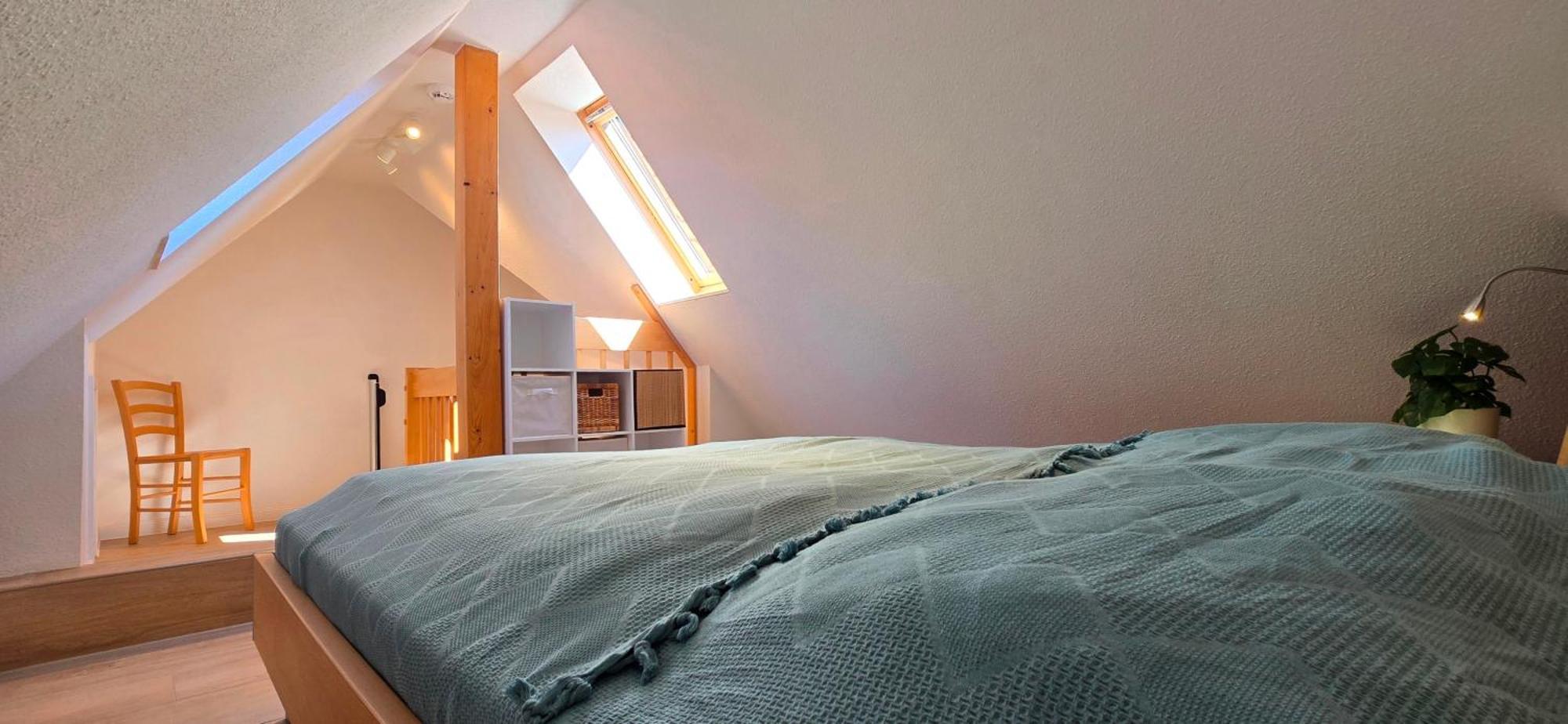 Ferienwohnung H 20 غرال موريتز المظهر الخارجي الصورة